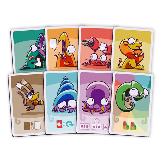 【予約商品】Collect!【英語版】【26年3月入荷・同時入荷品のみ同梱可】