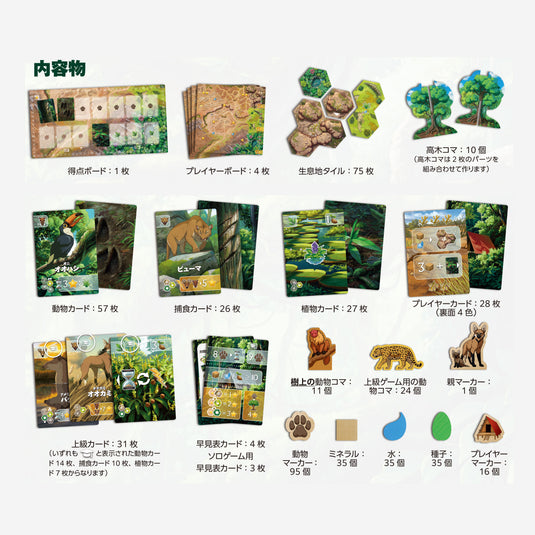 【予約商品】リワイルド：南米