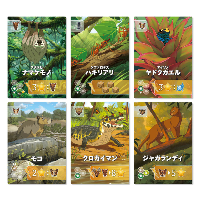 ギャラリービューアに画像をロードする, 【予約商品】リワイルド：南米
